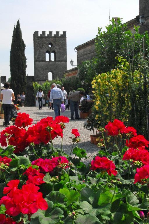 Апартаменты Antica Dimora Dell'Ortolano Castellaro  Экстерьер фото